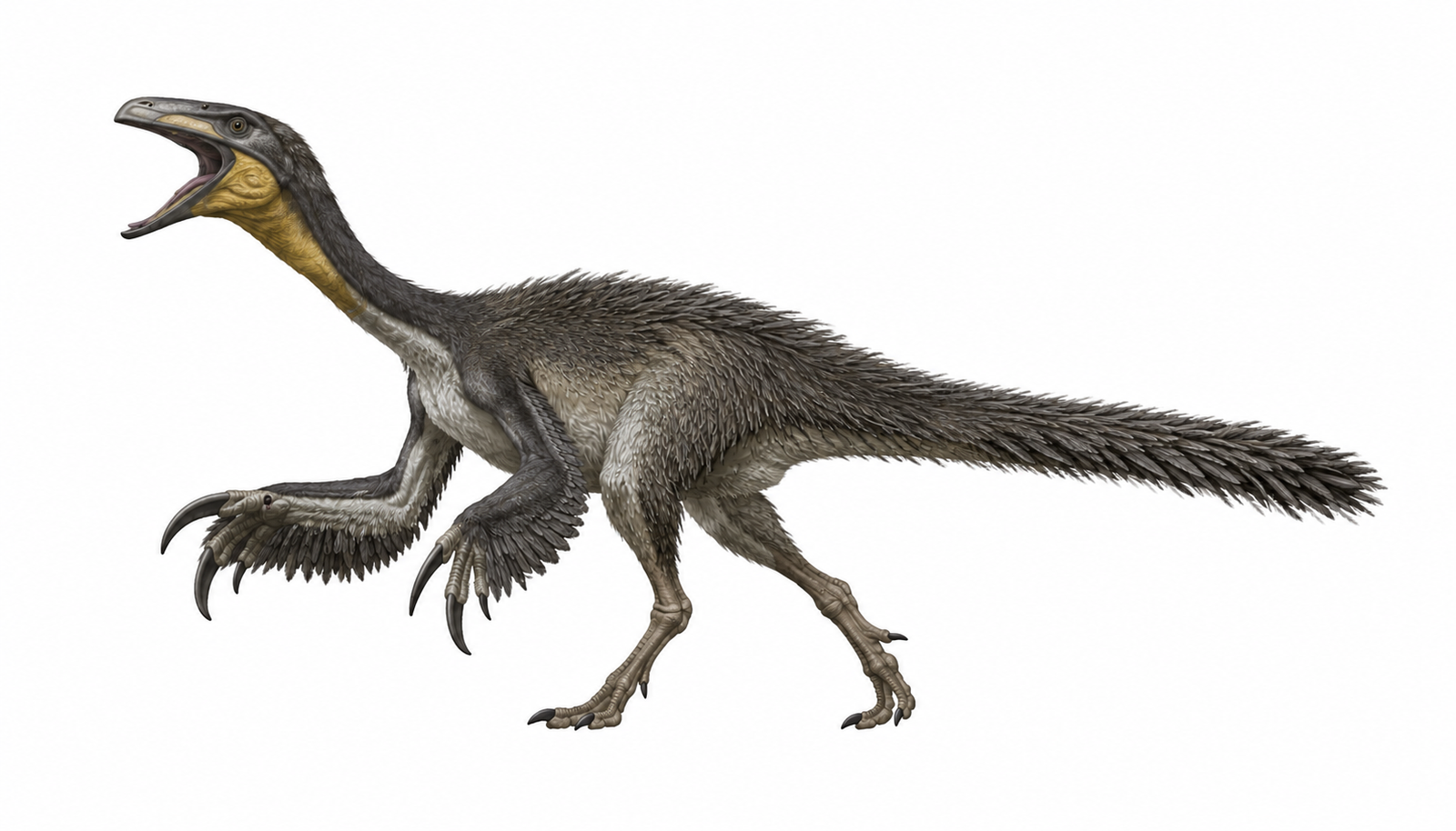Beipiaosaurus