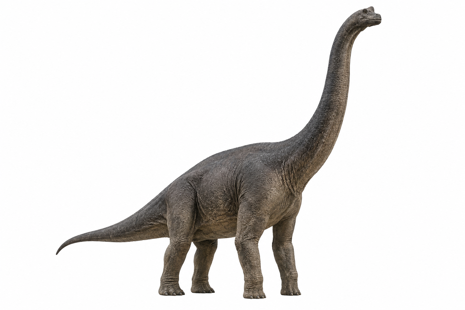 Brachiosaurus