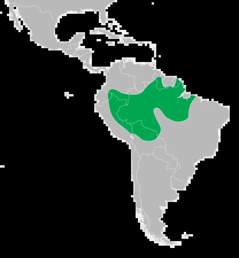 Distribución en Sudamérica