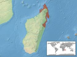Distribución en Madagascar