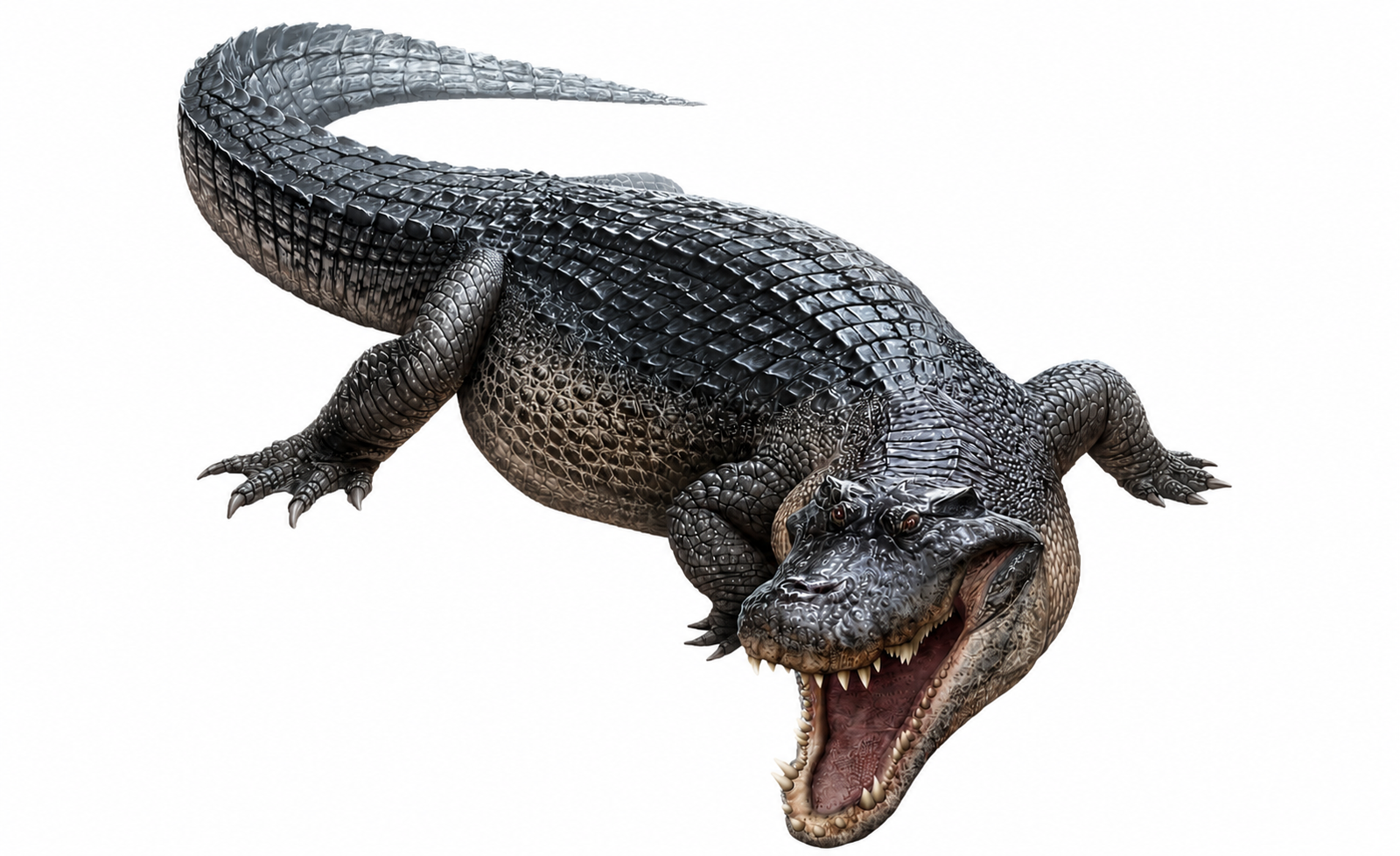 Deinosuchus