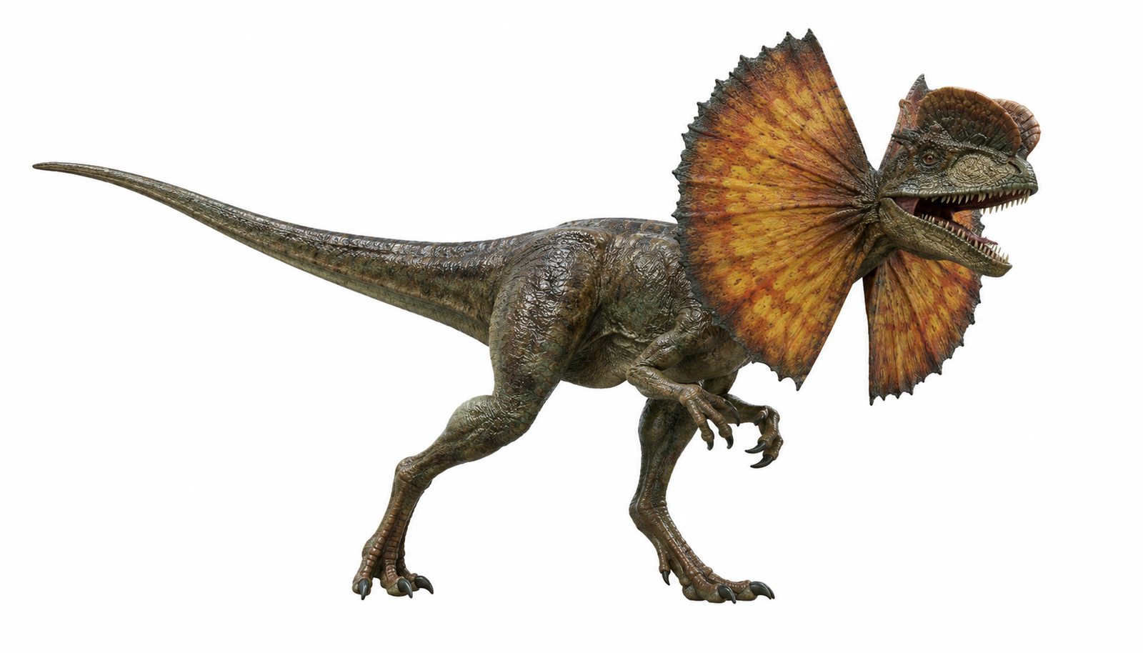 Dilophosaurus