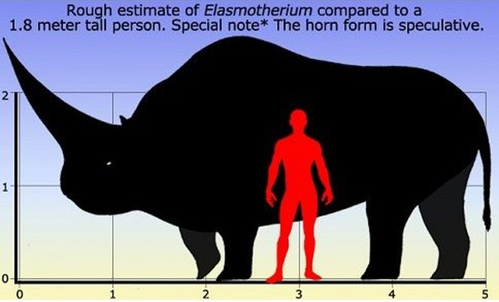 Comparativa de tamaño con un humano
