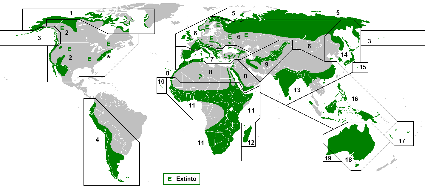 Distribución mundial