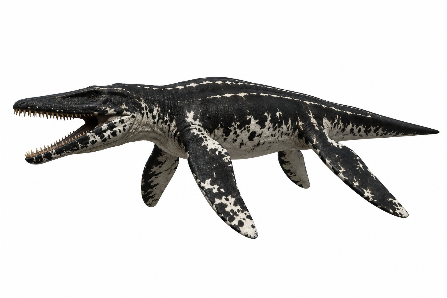 Liopleurodon