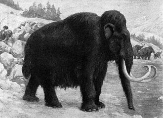 Detalle del denso pelaje del mamut lanudo