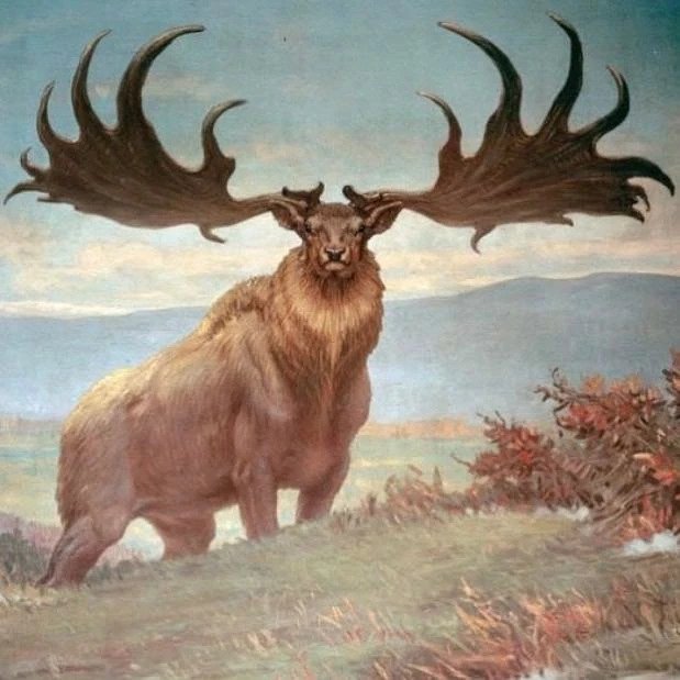 Reconstrucción del cuerpo y coloración del pelaje