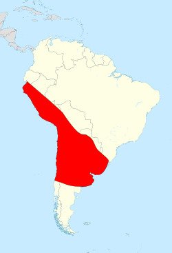 Mapa de distribución en América del Sur
