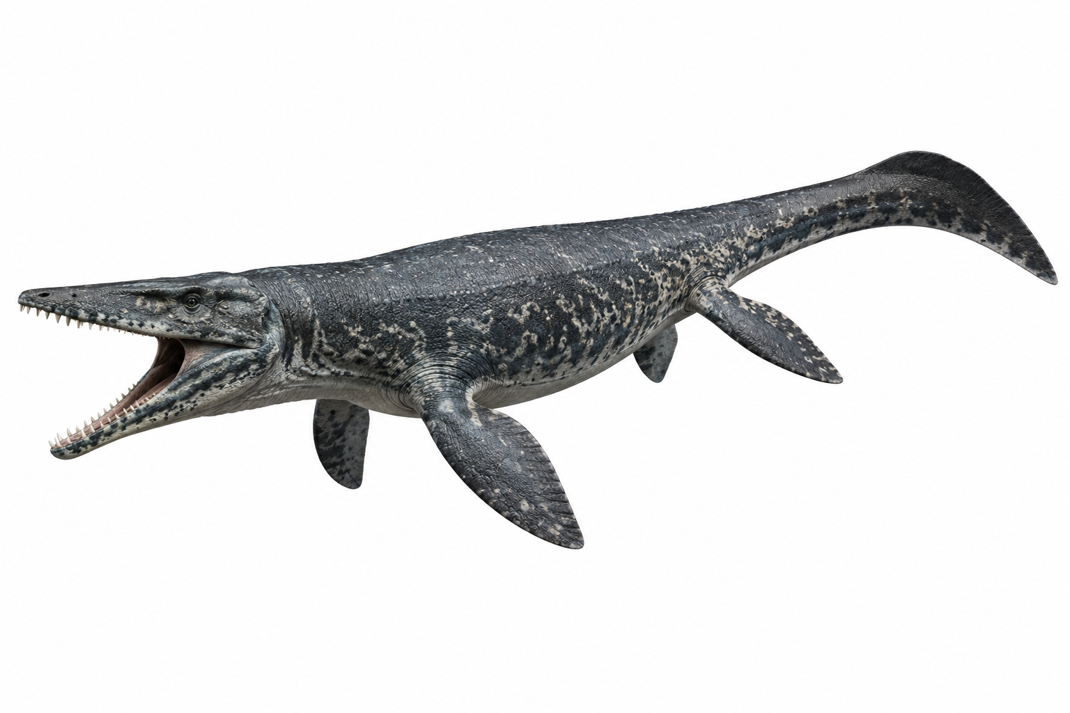 Mosasaurus