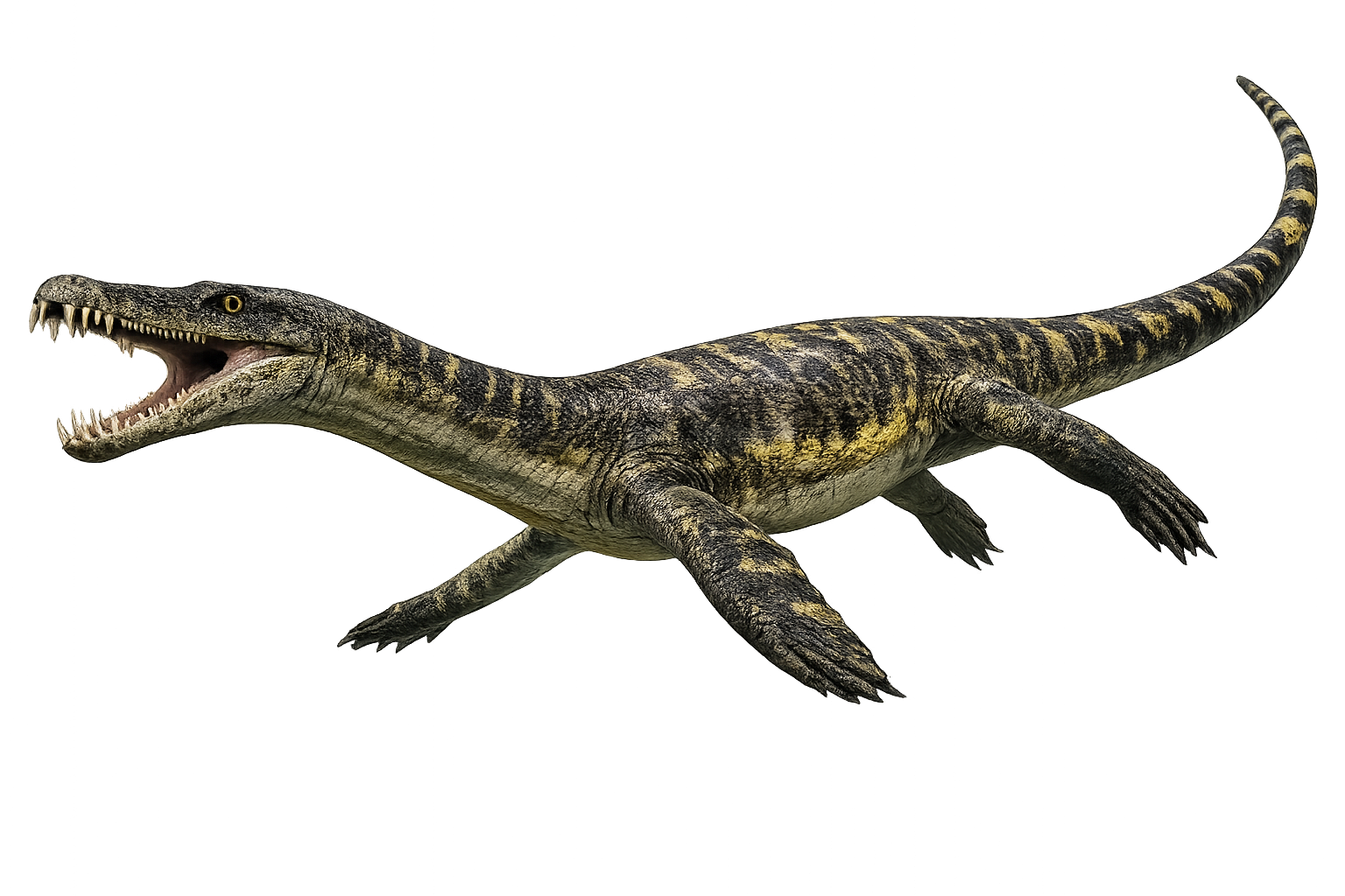 Nothosaurus