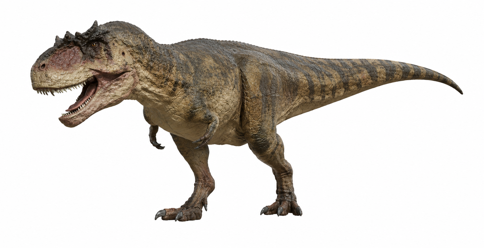 Yangchuanosaurus